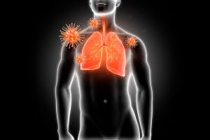 La combinación de Terpenos y CBD puede ser efectiva contra la inflamación de la Covid-19